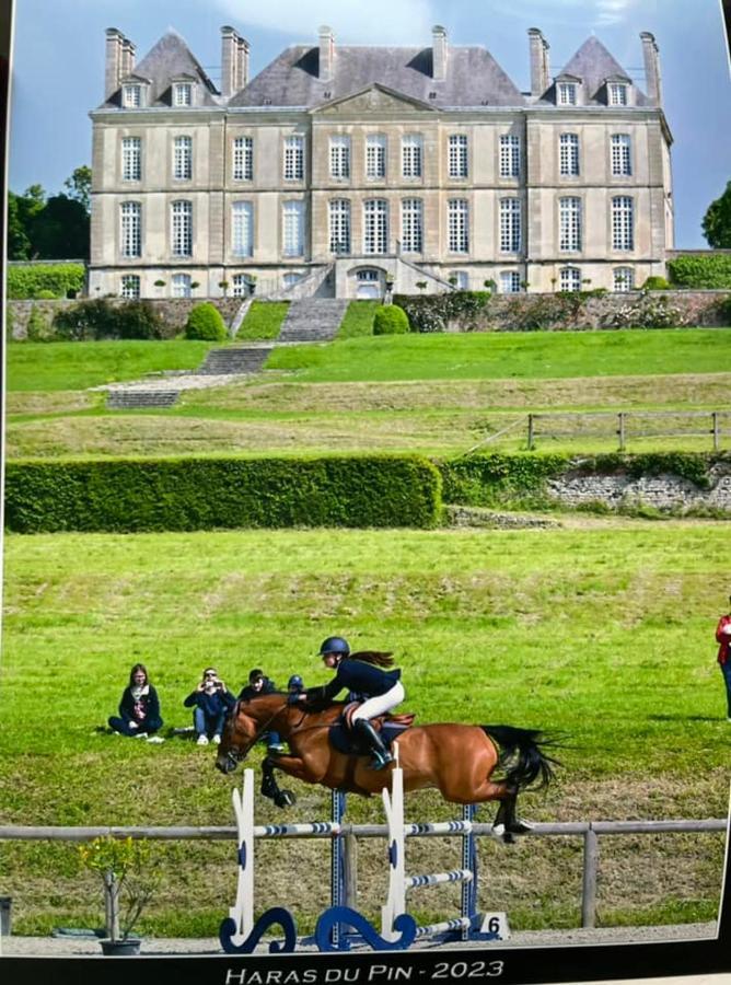 Gite Insolite "Le Coup De Foudre" Sa Vue Panoramique Vimoutiers Buitenkant foto