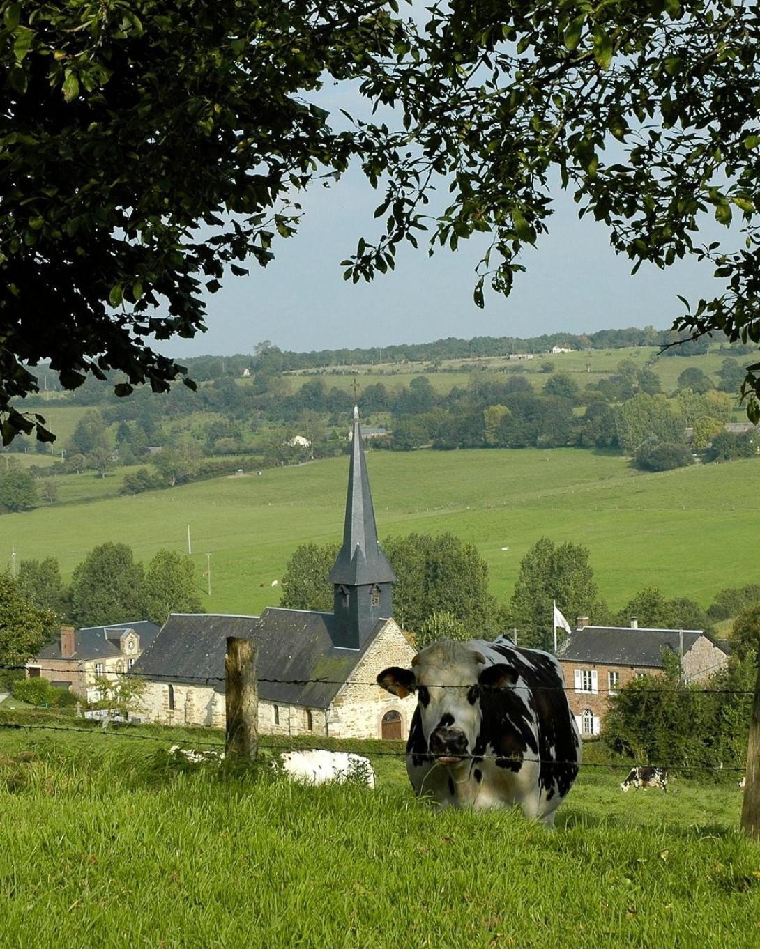 Gite Insolite "Le Coup De Foudre" Sa Vue Panoramique Vimoutiers Buitenkant foto